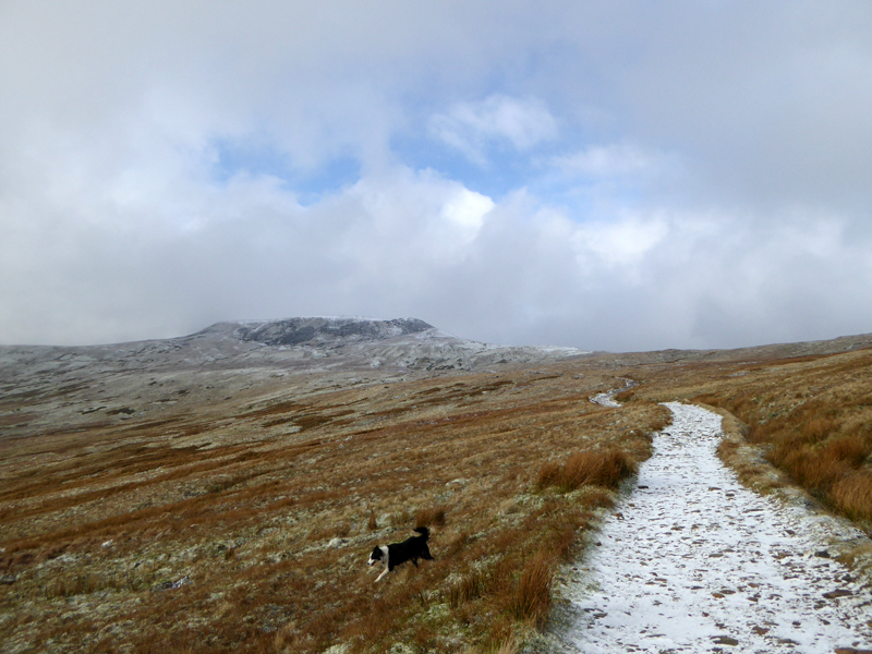 Ingleborough